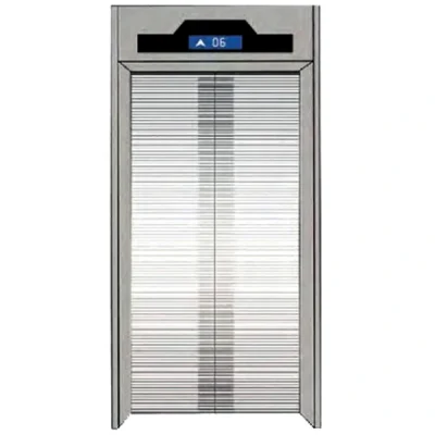 Mirror Etching Elevator Door Panel