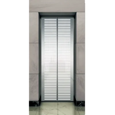 Modern Etching Designed Landing Door Panel