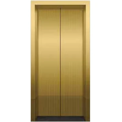 Titanium Gold Etched Mirror St.St Lift Door Panel
