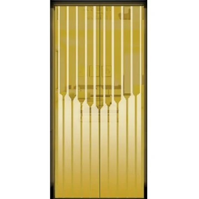 Titanium Gold Mirror Etching Elevator Door Panel