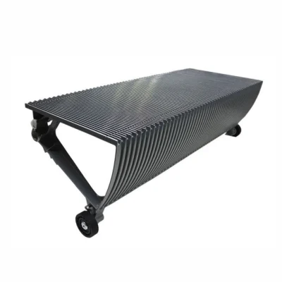 escalator passenger step