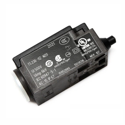 Schmersal Elevator Limit Switch TS236-11Z-M20 - Image 3